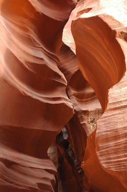 Light from entrance.JPG